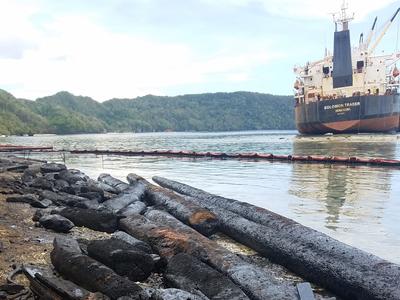Oily logs beached before being cleaned and milled